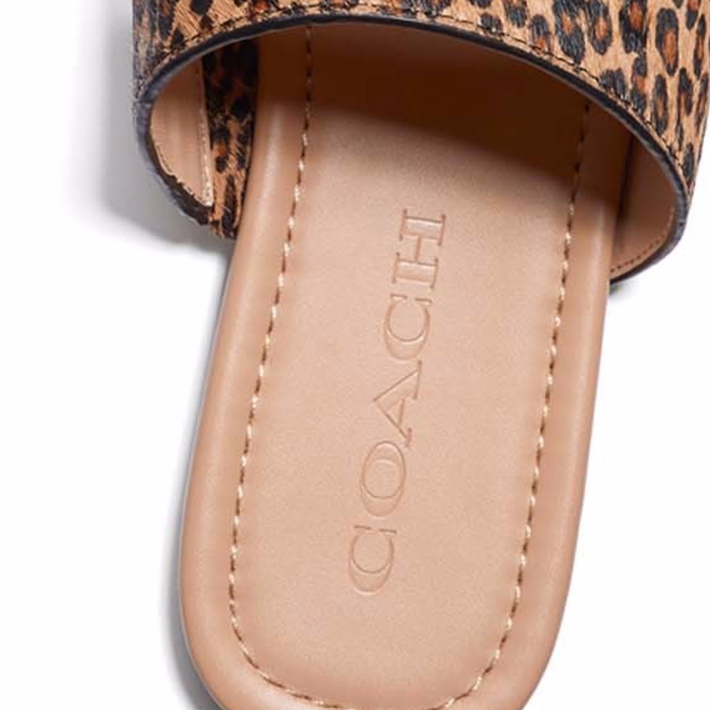 COACH Women's Jaimee Toe Loop Chain Flat Sandal - Picture 3 of 5